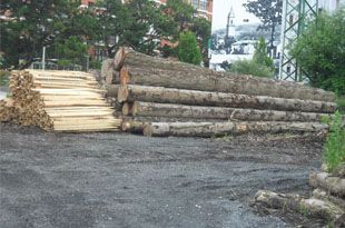 Maderas Belakortu comercialización de maderas 4