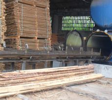 Maderas Belakortu comercialización de maderas 5